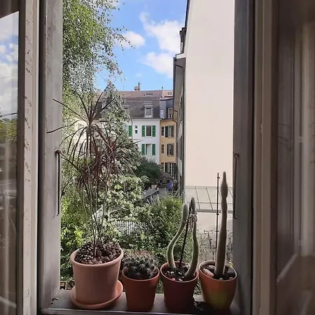 Homestay Near Main Station